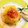 El cooksnap de ₵♡Ϛ❘Ν₳ νΕ₲α₪Ⓐ✍. Salvador. cuando hizo Mangú de plátano con chuleta y cebolla.