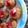 cookinfor2's cooksnap of when they made Major's Cream cheese bites.