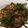 Cooksnap dari meta sakina untuk resep Kangkung Seafood