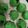 Cooksnap dari pipit untuk resep Bapao Pandan Empuk