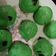 Cooksnap dari pipit untuk resep Bapao Pandan Empuk
