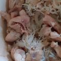 Cooksnap dari andang untuk resep Bihun shirataki ayam dan udang (keto friendly)