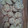 El cooksnap de Linda Baleón cuando hizo Galletas con Chispas de Chocolate y Nuez 🍪.