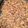 Darlene Roesler Fletcher's cooksnap of when they made Fall Crack.