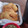 El cooksnap de Caro Zaragosi cuando hizo TORTA FRITAS- especiales para días de lluvia.