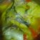 Cooksnap dari lidyana kusuma untuk resep Gangan Asam Kepala Patin (Khas Banjar)