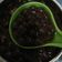 Cooksnap dari Ummu Faqih untuk resep Boba simple enak