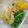 林大姐 的 芹菜炒豆皮 cooksnap