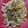 jaspreet kaur's cooksnap of when they made White sauce pasta.