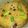 Asma Faryal Khan's cooksnap of when they made Moong Masur Daal💛🍲.