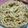 El cooksnap de Balbijesusmaria cuando hizo Fideos con pesto (en cubitos).