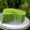 Cooksnap dari Rierie Quenna untuk resep Lapis india pandan