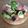 El cooksnap de Jordy Galaz cuando hizo Ceviche de salchicha.