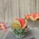 Cooksnap dari Aliynt Rahmadina untuk resep Bolu kukus