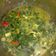 Cooksnap dari Ayu Cahya untuk resep Gulai Daun Singkong
