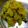 Anus Cooking's cooksnap of when they made காய்கறி உப்புமா(vegetable upma recipe in tamil.