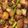 artslance's cooksnap of when they made Roasted Garlic Red Potatoes with Green Beans.
