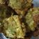 Cooksnap dari Sri Handayani untuk resep Tempe Mendoan