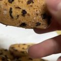 嬅 的 蔓越莓餅乾 cooksnap