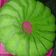 Cooksnap dari Ona Debby Hew untuk resep Bolu pandan kukus lembut