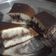 Cooksnap dari Sania Renita untuk resep Martabak Bangka Teflon Dijamin Bersarang