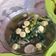 Cooksnap dari muti untuk resep Bening sawi hijau + bakso