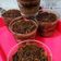 Cooksnap dari Nia d'Kitch untuk resep Energen cheese oreo cake lumer