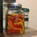 El cooksnap de Raquel LO cuando hizo Fermento salvaje (conserva)de morrones (pimientos).