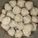 Cooksnap dari Ajeng Nilu untuk resep Mpasi Bakso Ikan Kembung