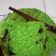 Cooksnap dari siti hodijah untuk resep Bolu Pandan Ekonomis