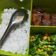 Cooksnap dari Theresia Dian untuk resep Gindara Steak Bakar