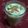 Rekha Ramchandani's cooksnap of when they made સીતાફળ મિલ્ક શેક (Sitafal Milk shake Recipe In Gujarati).