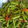 Cooksnap dari Dwi Ragil untuk resep Baby buncis ala singapore