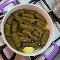 کوک اسنپ nafas بعد از امتحان کردن دلمه برگ مو.
