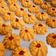 Cooksnap dari Lia PrimaDani untuk resep Kue Semprit Dahlia NCC
