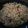 Cooksnap Haziqah Harnizi semasa beliau membuat Macaroni Goreng Pedas.