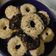 Cooksnap dari Yeni Rona untuk resep Donat empuk anti gagal untuk pemula