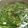 Cooksnap dari Ayounk_93 untuk resep Sayur bayam bening + jagung