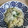 El cooksnap de Carmen Olivia cuando hizo Risotto de boletus.