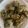 Neeru Ramani's cooksnap of when they made પાલક મુઠીયા (Palak Muthia Recipe In Gujarati).