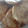 El cooksnap de Perla Peña cuando hizo Galletas marineras como las de panadería.