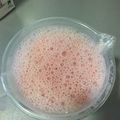El cooksnap de sarahalgaba11 cuando hizo Smoothie de fresa y plátano.