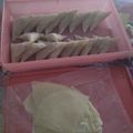 Cooksnap dari Diana Abdat untuk resep Kulit samosa(multiguna) homemade step by step