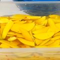 Cooksnap dari Tarissa Apriyanto untuk resep Asinan mangga tanpa cuka