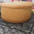 El cooksnap de Valeria Mercds cuando hizo Bizcochuelo para torta.