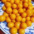 小朱 的 地瓜球 cooksnap
