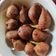kalpana prasad का कुकस्नैप जब उन्होंने गुड के गुलगुले (Gud ke gulgule recipe in Hindi) बनाया था।