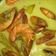 Cooksnap Eika semasa beliau membuat Masak Lomak Udang Cili Api Nogori.