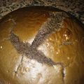 El cooksnap de Noelia Marina López Matwiczyk cuando hizo Bizcochuelo de chocolate húmedo.