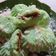Cooksnap dari Munawarah untuk resep Kue Putu Bambu Tanpa Bambu